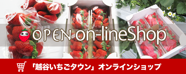 オンラインショップ